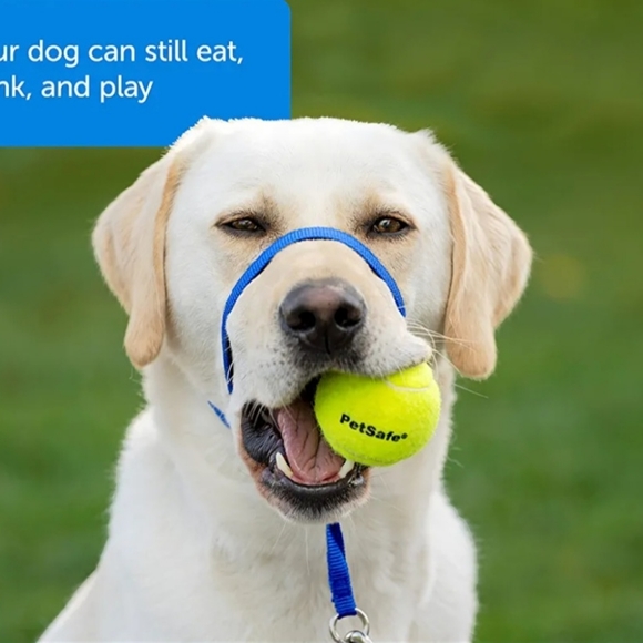 Gentle Leader Dog Lead - Picture 8 of 9